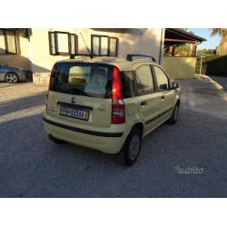 Fiat Panda 1.2 Dynamic PREZZO NON TRATTABILE