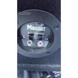 Subwoofer magnat