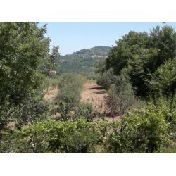 Casa con giardino in collina nel beneventano