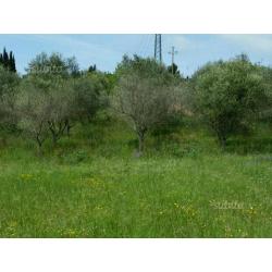 Terreno con annesso agricolo