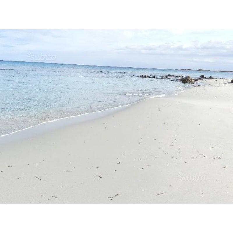 Oasi dal mare cristallino Capo Comino. SaRdEgNa