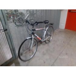 Bicicletta da uomo passeggio esperia