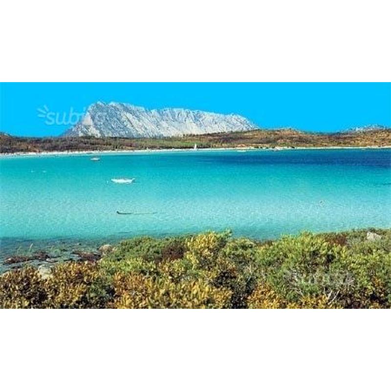 San Teodoro per una felice vacanza in Sardegna