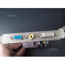 Scheda video pci-express