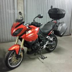 Triumph Tiger - 2008