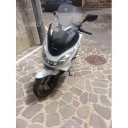 Honda PCX 150 - 2014 perfetto garanzia