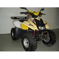 Quad 50 ccm Dinli solo 500 km