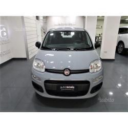 FIAT New Panda 1.2 Easy Gpl