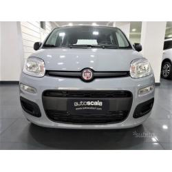 FIAT New Panda 1.2 Easy Gpl