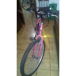 Bicicletta lady mtb